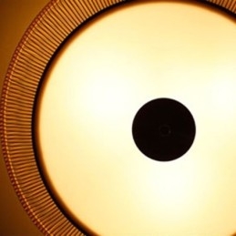 Designer Touch Decorative Chinese Special Bamboo Flush Mount Creative Japanese Round Ceiling Light