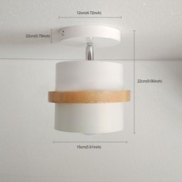 Designer Touch Decorative Round Macaron Spotlight Chromatic Ceiling Light(Single Light)
