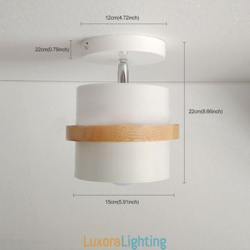 Designer Touch Decorative Round Macaron Spotlight Chromatic Ceiling Light(Single Light)