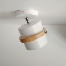 Designer Touch Decorative Round Macaron Spotlight Chromatic Ceiling Light(Single Light)