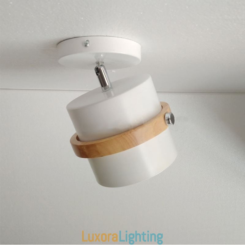 Designer Touch Decorative Round Macaron Spotlight Chromatic Ceiling Light(Single Light)