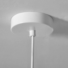 Designer Touch Decorative Resin Hanging Light Simple Ceiling Light