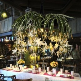 Designer Touch Decorative Home Pendant Lamp Industrial Style Artificial Plant Decorated Chandelier