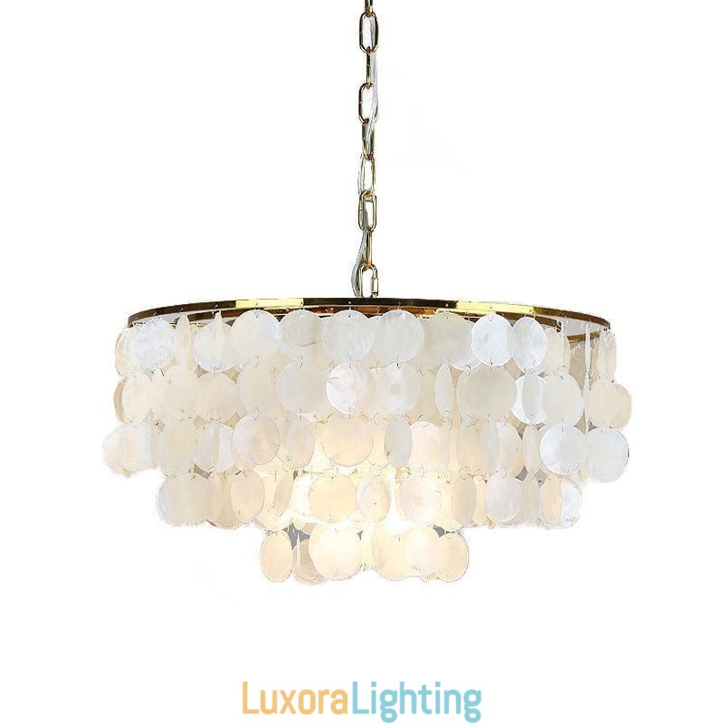 Designer Touch Decorative European Seashell Pendant Light