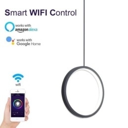 Designer Touch Decorative Minimalist Ring Pendant Light Ceiling Light