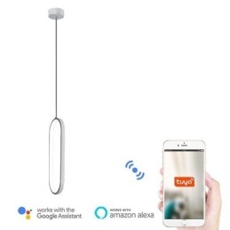 Designer Touch Decorative Oval Pendant Light Acrylic Light Fixture