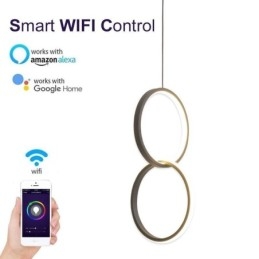 Designer Touch Decorative Mimimalist Double Ring Pendant Light