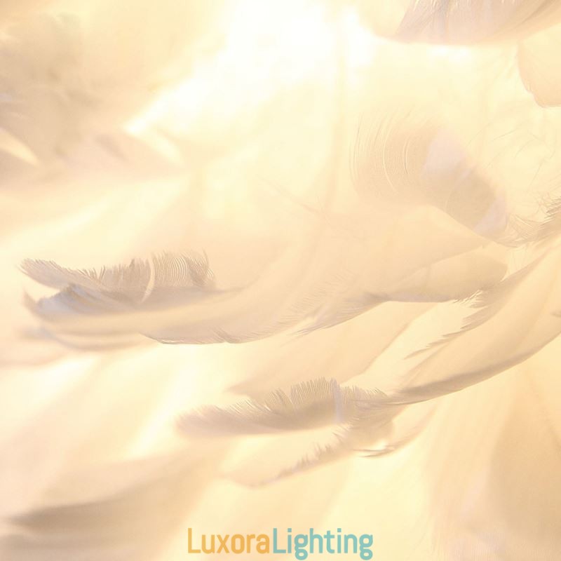 Designer Touch Decorative Pretty Feather Pendant Light Fixture