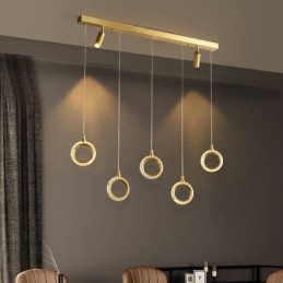Designer Touch Decorative Pendant Light Acrylic Ring Light Fixture with Spotlight