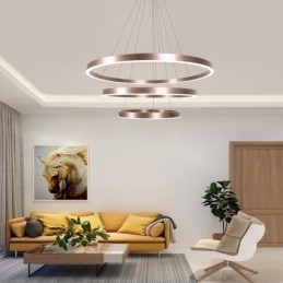 Designer Touch Decorative Pendant Light Drawing Craft 3 Rings Lamp 80+60+40cm
