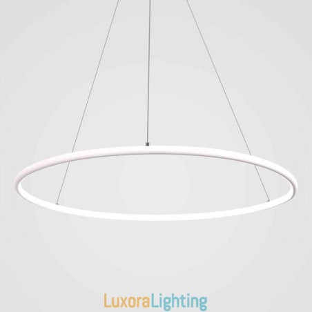 Designer Touch Decorative Modern Pendant Light Circle Lamp 60cm 80cm