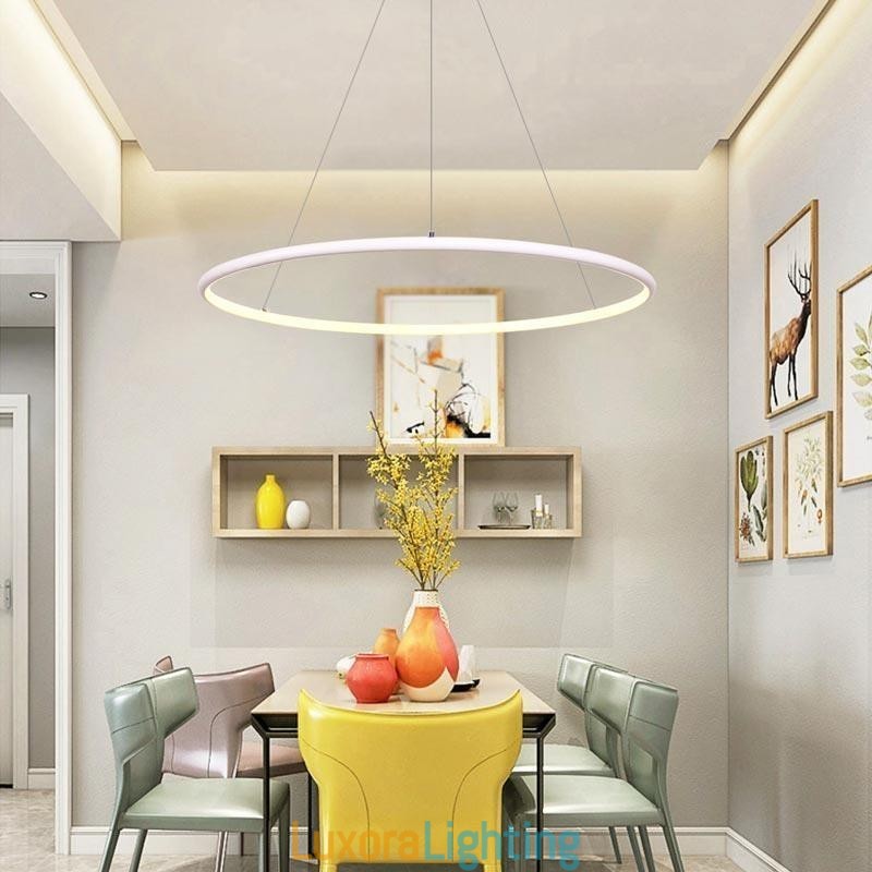 Designer Touch Decorative Modern Pendant Light Circle Lamp 60cm 80cm