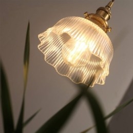 Designer Touch Decorative Dome Large Clear Ribbed Glass Pendant Light with Brass Holder Twist Switch