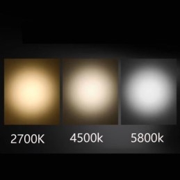 Designer Touch Decorative Track Spotlight Free Focusing Accent Lighting