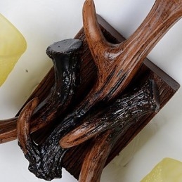 Designer Touch Decorative Wall Sconces Mini Style Traditional Classic Resin