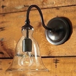 Designer Touch Decorative Nature Inspired Iron Wall Light with Transparent Glass Shade