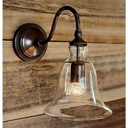 Designer Touch Decorative Nature Inspired Iron Wall Light with Transparent Glass Shade