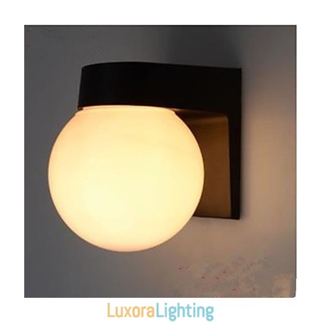 Designer Touch Decorative Acrylic Shell Wall Lamp