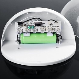 Designer Touch Decorative Solar Powered Lamp Outdoor Garden Light Automatic Sensor Activated Solar Light (White)