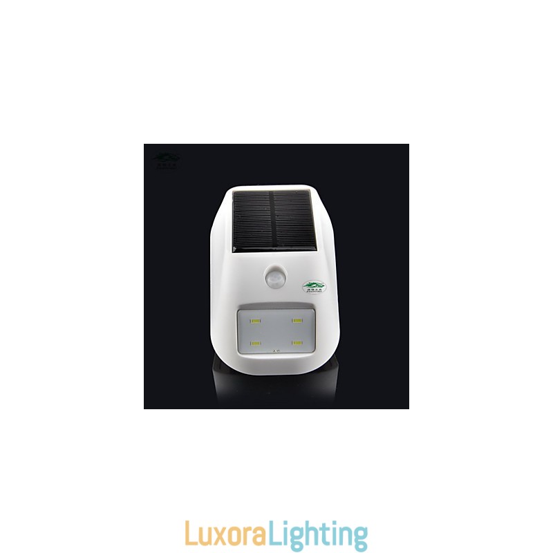 Designer Touch Decorative Arrival Solar Lighting White