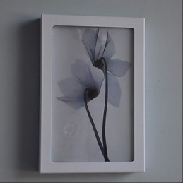 Designer Touch Decorative Integrated Modern Contemporary Modern Comtemporary Painting Feature for Ambient Light Wall Sconces