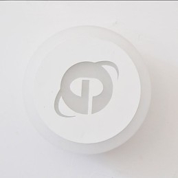 Designer Touch Decorative Integrated Modern Contemporary Modern Comtemporary Painting Feature for Ambient Light Wall Sconces