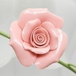 Designer Touch Decorative Valentine'S Day The Rose Garden Flowers And Plants Absorb Dome Light