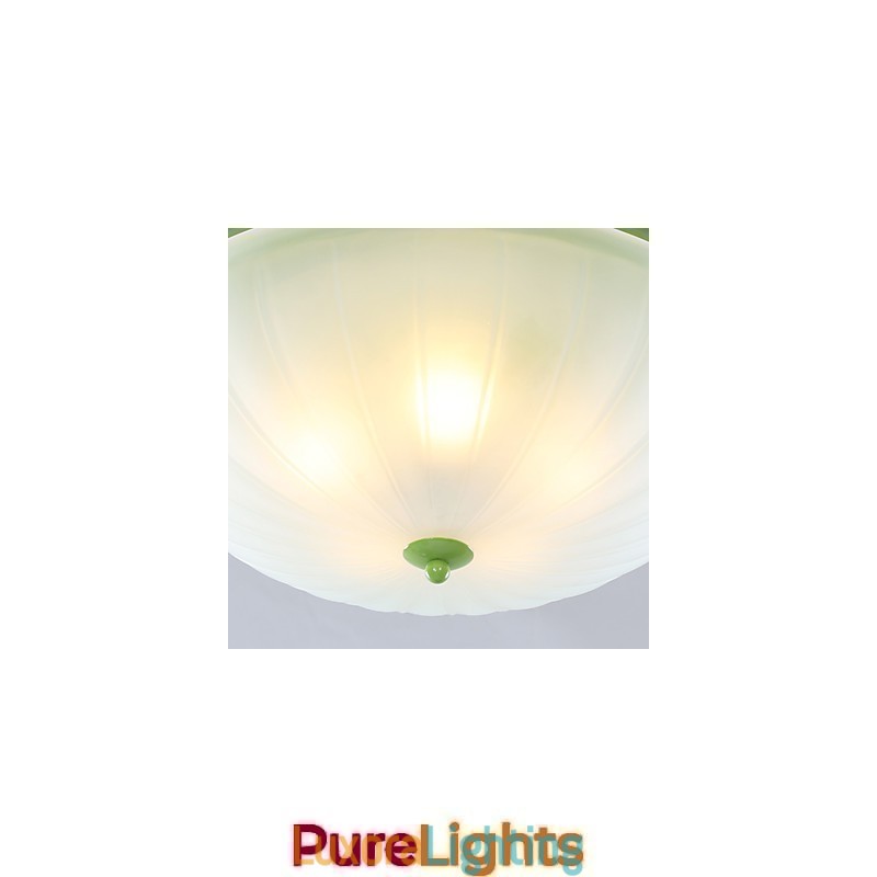 Designer Touch Decorative Valentine'S Day Garden Flowers And Plants Absorb Dome Light