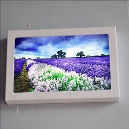 Designer Touch Decorative Integrated Modern Contemporary Modern Comtemporary Painting Feature for Ambient Light Wall Sconces