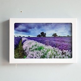 Designer Touch Decorative Integrated Modern Contemporary Modern Comtemporary Painting Feature for Ambient Light Wall Sconces