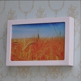 Designer Touch Decorative Integrated Modern Contemporary Modern Comtemporary Painting Feature for Ambient Light Wall Sconces