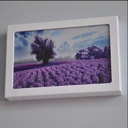 Designer Touch Decorative Integrated Modern Contemporary Modern Comtemporary Painting Feature for Ambient Light Wall Sconces