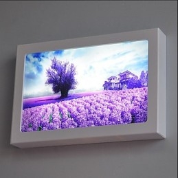 Designer Touch Decorative Integrated Modern Contemporary Modern Comtemporary Painting Feature for Ambient Light Wall Sconces