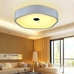 Designer Touch Decorative Flush Mounted Modern Night light White+Natrual White+Warm White Color