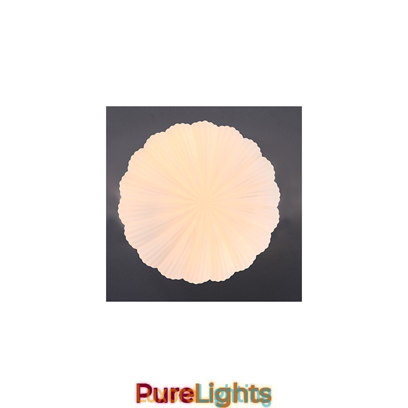 Designer Touch Decorative The Nordic Creative Glass Shells To Absorb Dome Light