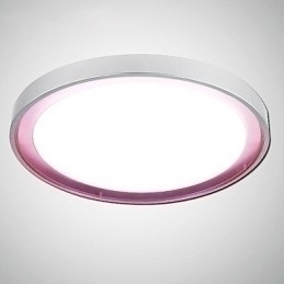 Designer Touch Decorative Ceiling Lamp 1 Light Modern Simple Artistic