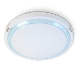 Designer Touch Decorative Europe Type Style Contemporary And Contracted Fashion To Absorb Dome Light Chip Lamp