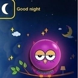 Designer Touch Decorative Light Operated OWL Wall Sconces Bulb Contemporary Creative 3 D Wall Paper Wall Lamp Light