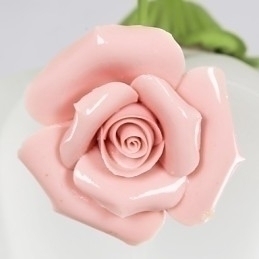 Designer Touch Decorative Valentine'S Day Garden Flowers And Plants Absorb Dome Light