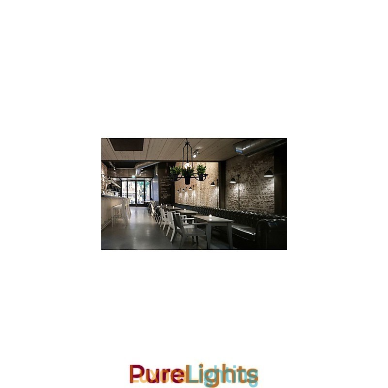 Designer Touch Decorative Mediterranean Garden flowers Light