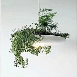 Designer Touch Decorative Modern Contemporary Others Metal Pendant Light