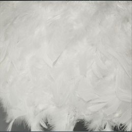 Designer Touch Decorative Hot Selling Dia Fashion Feather Chandelier Modern Light