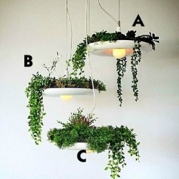 Designer Touch Decorative Aluminum Droplight Nordic Creative Contracted Sky Garden Lamps And Lanterns Light No Soil Plant